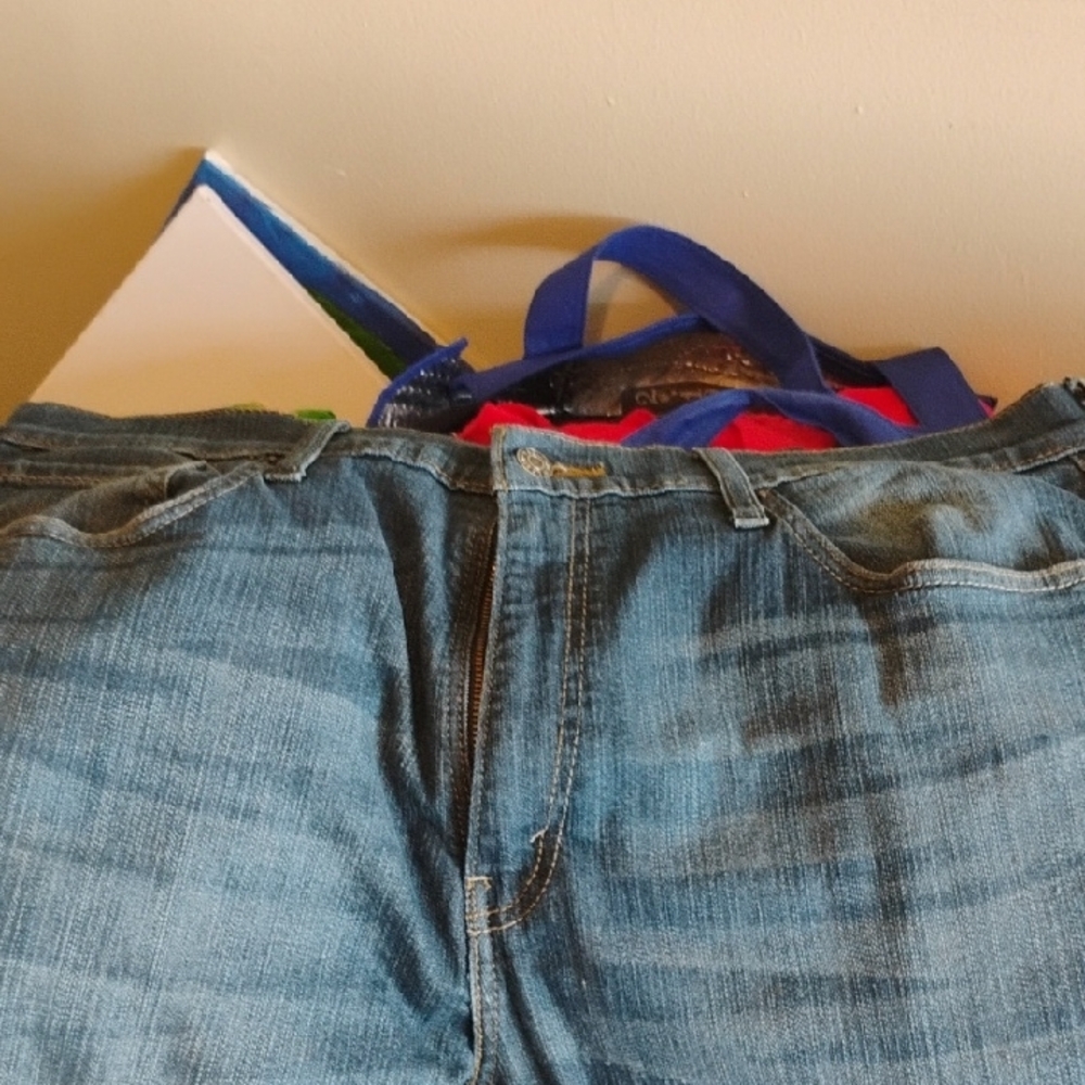 Signature by Levi Strauss Relaxed Blue Jeans